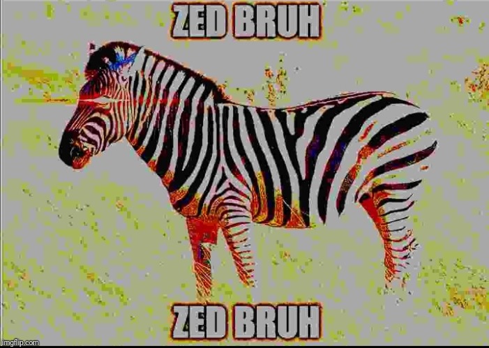 #Z bruh | image tagged in zebra,funny | made w/ Imgflip meme maker