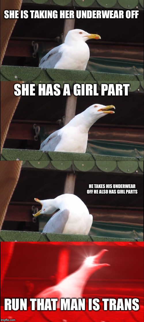 Inhaling Seagull Meme | SHE IS TAKING HER UNDERWEAR OFF; SHE HAS A GIRL PART; HE TAKES HIS UNDERWEAR OFF HE ALSO HAS GIRL PARTS; RUN THAT MAN IS TRANS | image tagged in memes,inhaling seagull | made w/ Imgflip meme maker