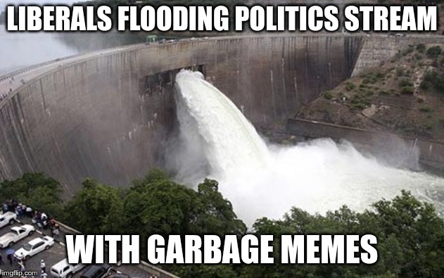 Floodgate | LIBERALS FLOODING POLITICS STREAM; WITH GARBAGE MEMES | image tagged in floodgate | made w/ Imgflip meme maker