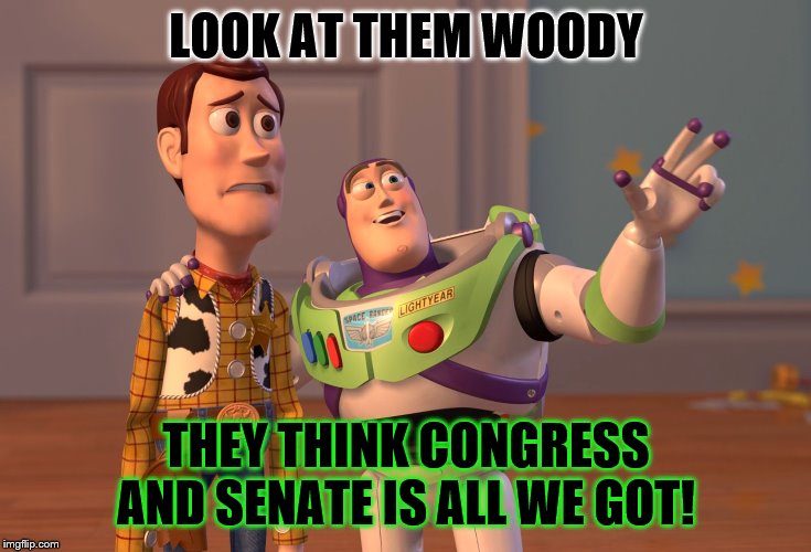 X, X Everywhere | LOOK AT THEM WOODY; THEY THINK CONGRESS AND SENATE IS ALL WE GOT! | image tagged in memes,x x everywhere,political,politics | made w/ Imgflip meme maker