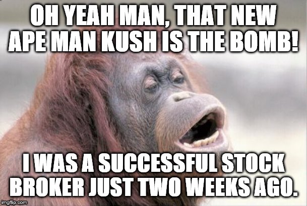 Monkey OOH | OH YEAH MAN, THAT NEW APE MAN KUSH IS THE BOMB! I WAS A SUCCESSFUL STOCK BROKER JUST TWO WEEKS AGO. | image tagged in memes,monkey ooh | made w/ Imgflip meme maker