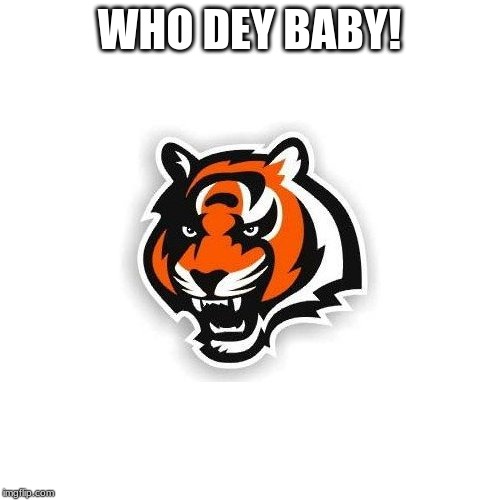 Cincinnati Bengals | WHO DEY BABY! | image tagged in cincinnati bengals | made w/ Imgflip meme maker