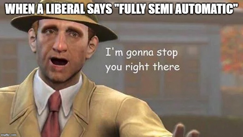 I'm gonna stop you right there | WHEN A LIBERAL SAYS "FULLY SEMI AUTOMATIC" | image tagged in i'm gonna stop you right there | made w/ Imgflip meme maker