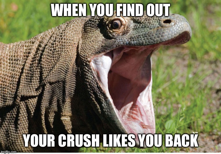 WHEN YOU FIND OUT; YOUR CRUSH LIKES YOU BACK | made w/ Imgflip meme maker