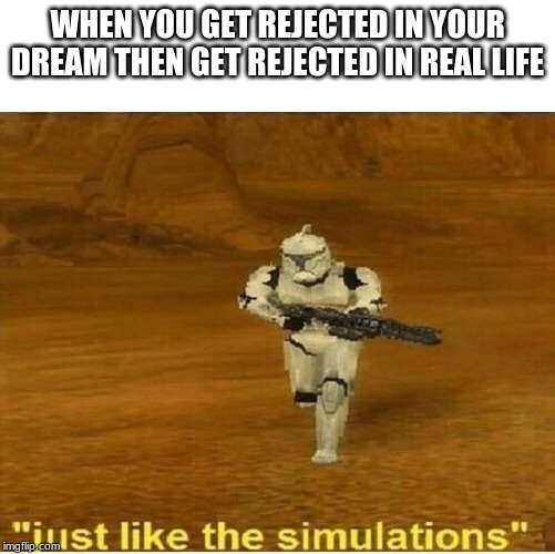 Just like the simulations | WHEN YOU GET REJECTED IN YOUR DREAM THEN GET REJECTED IN REAL LIFE | image tagged in just like the simulations | made w/ Imgflip meme maker