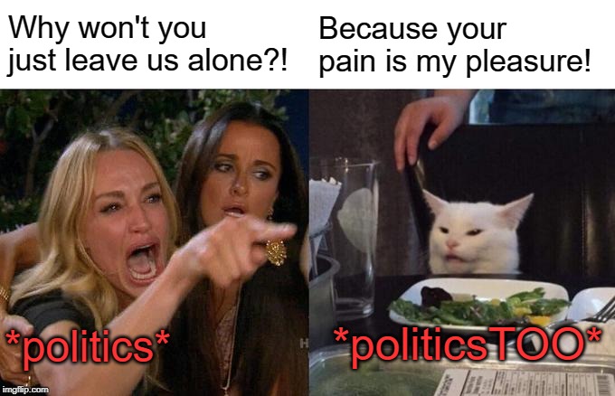 politicsTOO lefties keep coming over here to start something, when they decided to split off on their own in the first place! | Why won't you just leave us alone?! Because your pain is my pleasure! *politicsTOO*; *politics* | image tagged in memes,woman yelling at cat | made w/ Imgflip meme maker