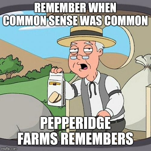 Pepperidge Farm Remembers Meme | REMEMBER WHEN COMMON SENSE WAS COMMON; PEPPERIDGE FARMS REMEMBERS | image tagged in memes,pepperidge farm remembers | made w/ Imgflip meme maker