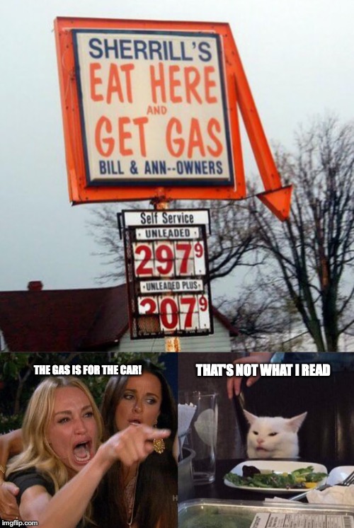I think I'll turn off on the next exit, is that OK honey? | THAT'S NOT WHAT I READ; THE GAS IS FOR THE CAR! | image tagged in memes,woman yelling at cat | made w/ Imgflip meme maker
