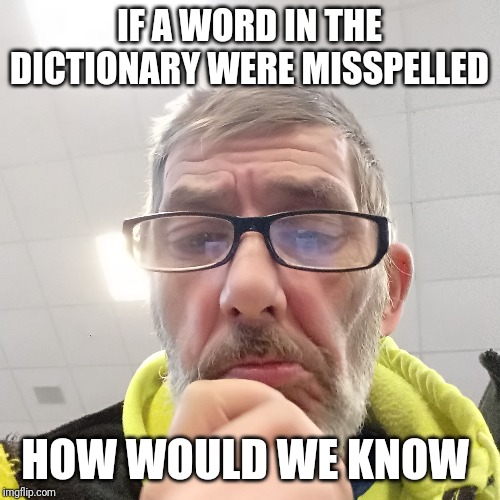 Pondering Bert | IF A WORD IN THE DICTIONARY WERE MISSPELLED; HOW WOULD WE KNOW | image tagged in pondering bert | made w/ Imgflip meme maker