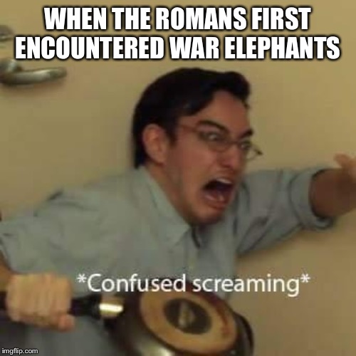 filthy frank confused scream | WHEN THE ROMANS FIRST ENCOUNTERED WAR ELEPHANTS | image tagged in filthy frank confused scream | made w/ Imgflip meme maker