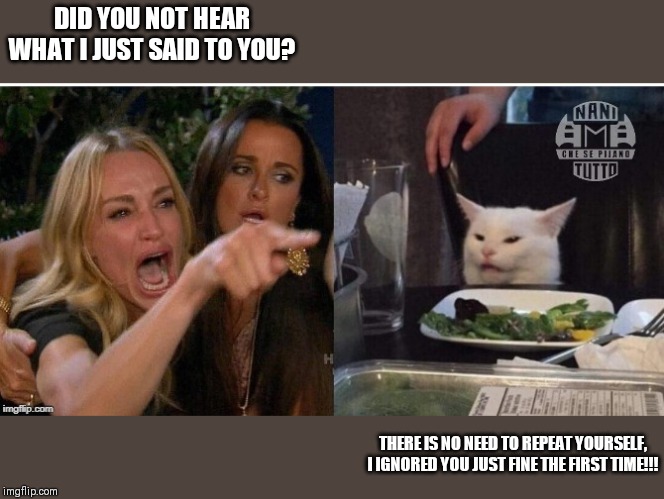 white cat table | DID YOU NOT HEAR WHAT I JUST SAID TO YOU? THERE IS NO NEED TO REPEAT YOURSELF, I IGNORED YOU JUST FINE THE FIRST TIME!!! | image tagged in white cat table | made w/ Imgflip meme maker