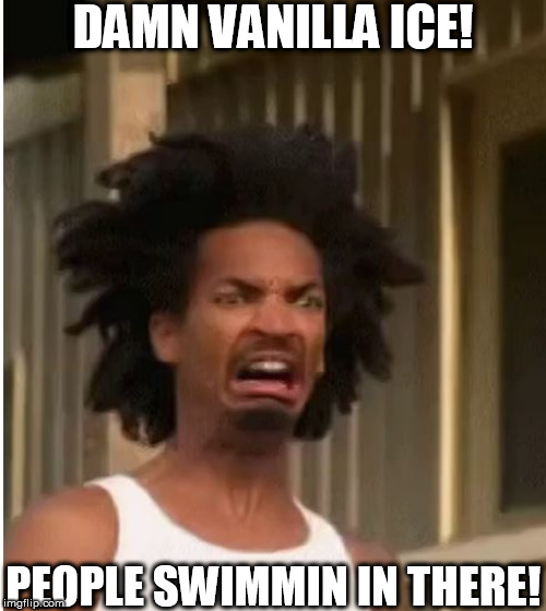 DAMN VANILLA ICE! PEOPLE SWIMMIN IN THERE! | made w/ Imgflip meme maker