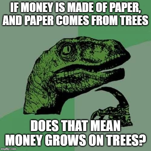 Philosoraptor Meme | IF MONEY IS MADE OF PAPER,
AND PAPER COMES FROM TREES; DOES THAT MEAN MONEY GROWS ON TREES? | image tagged in memes,philosoraptor | made w/ Imgflip meme maker