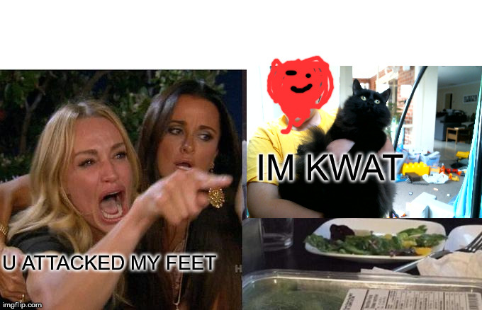 Woman Yelling At Cat | IM KWAT; U ATTACKED MY FEET | image tagged in memes,woman yelling at cat | made w/ Imgflip meme maker