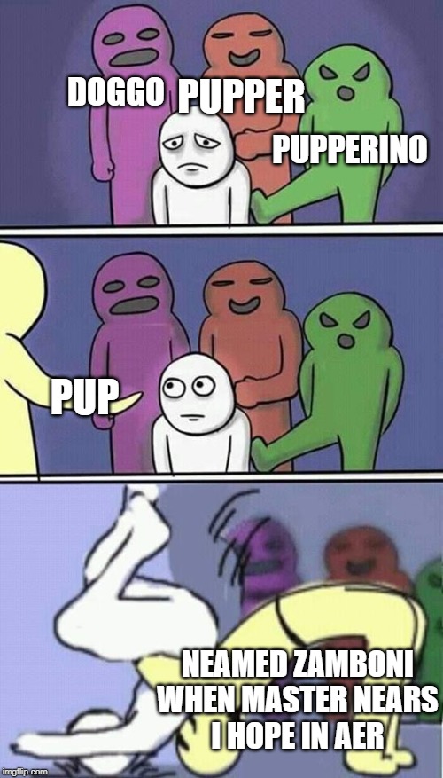Problems, Stress, Pain Suplex | PUPPER; DOGGO; PUPPERINO; PUP; NEAMED ZAMBONI
WHEN MASTER NEARS
I HOPE IN AER | image tagged in problems stress pain suplex | made w/ Imgflip meme maker