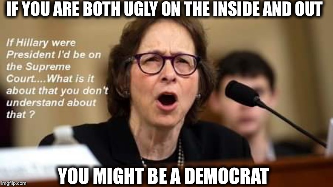 IF YOU ARE BOTH UGLY ON THE INSIDE AND OUT; YOU MIGHT BE A DEMOCRAT | image tagged in democrats,democratic party,trump impeachment | made w/ Imgflip meme maker