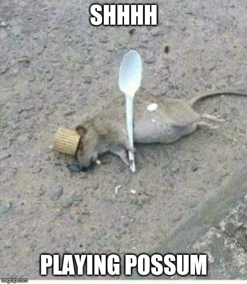 Ratatouille Dead | SHHHH; PLAYING POSSUM | image tagged in ratatouille dead | made w/ Imgflip meme maker
