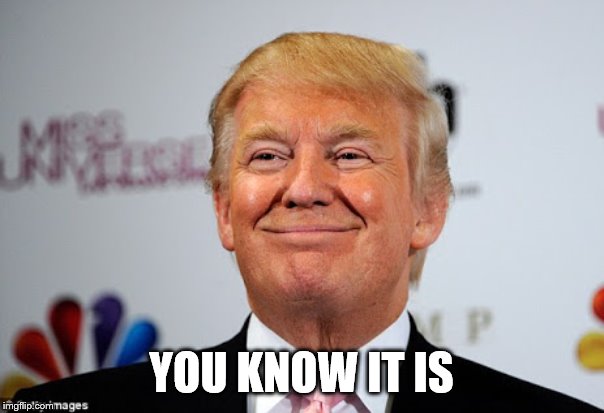 Donald trump approves | YOU KNOW IT IS | image tagged in donald trump approves | made w/ Imgflip meme maker