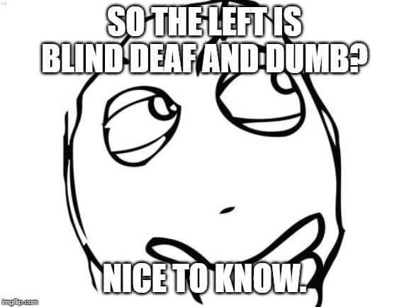 Question Rage Face Meme | SO THE LEFT IS BLIND DEAF AND DUMB? NICE TO KNOW. | image tagged in memes,question rage face | made w/ Imgflip meme maker