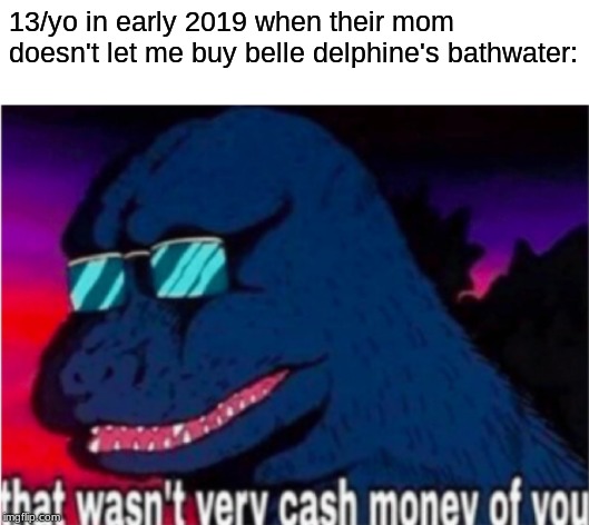 That wasn't very cash money of you | 13/yo in early 2019 when their mom doesn't let me buy belle delphine's bathwater: | image tagged in that wasn't very cash money of you | made w/ Imgflip meme maker