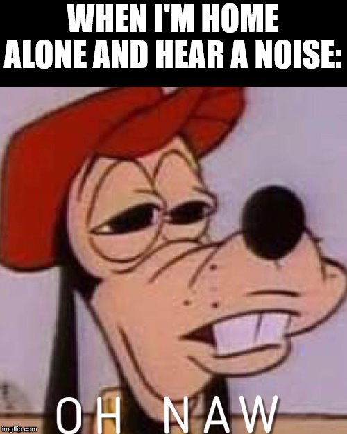 OH NAW | WHEN I'M HOME ALONE AND HEAR A NOISE: | image tagged in oh naw | made w/ Imgflip meme maker
