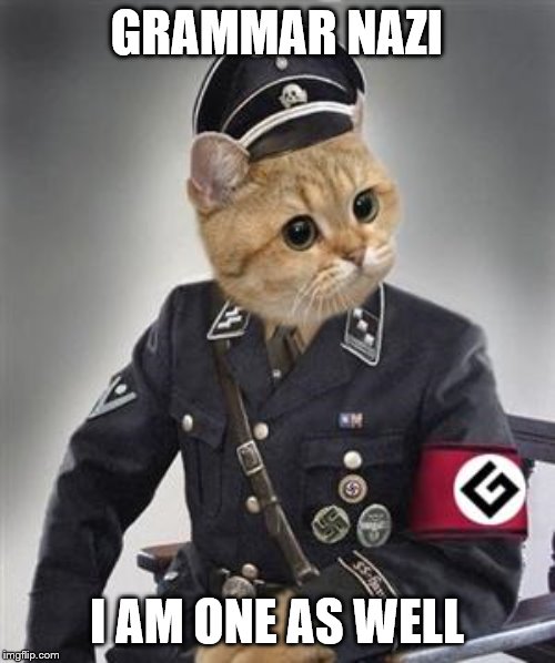 Grammar Nazi Cat | GRAMMAR NAZI I AM ONE AS WELL | image tagged in grammar nazi cat | made w/ Imgflip meme maker
