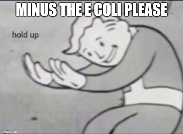 Fallout Hold Up | MINUS THE E COLI PLEASE | image tagged in fallout hold up | made w/ Imgflip meme maker
