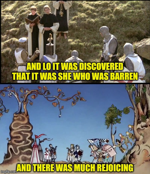 AND LO IT WAS DISCOVERED THAT IT WAS SHE WHO WAS BARREN AND THERE WAS MUCH REJOICING | made w/ Imgflip meme maker