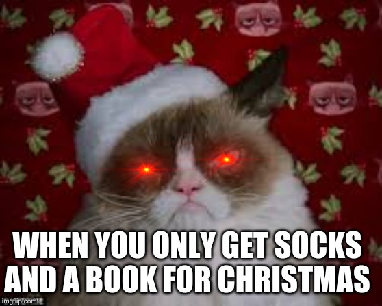 Angry cat | WHEN YOU ONLY GET SOCKS AND A BOOK FOR CHRISTMAS | image tagged in angry cat,merry christmas | made w/ Imgflip meme maker