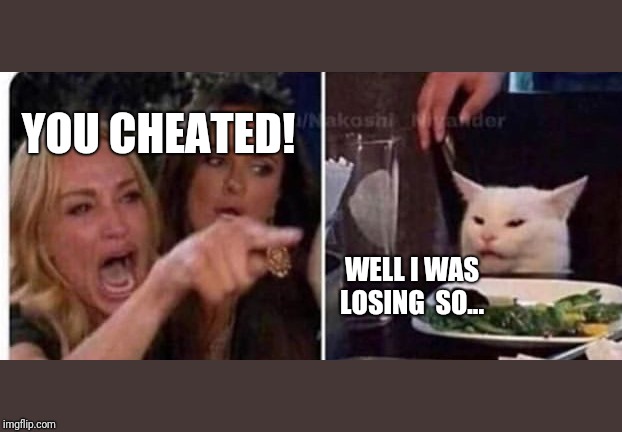 Cat at table | YOU CHEATED! WELL I WAS LOSING  SO... | image tagged in cat at table | made w/ Imgflip meme maker
