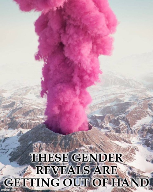  THESE GENDER REVEALS ARE GETTING OUT OF HAND | image tagged in crackatoa | made w/ Imgflip meme maker