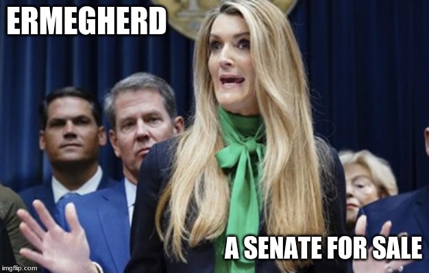 Senate for christmas | ERMEGHERD; A SENATE FOR SALE | image tagged in wealth,cronies | made w/ Imgflip meme maker