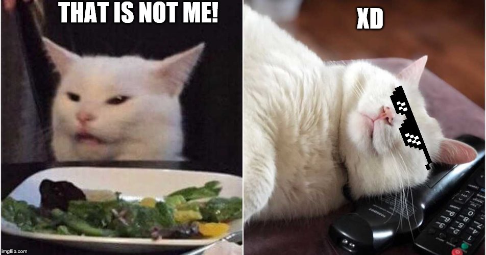 THAT IS NOT ME! XD | image tagged in cats | made w/ Imgflip meme maker