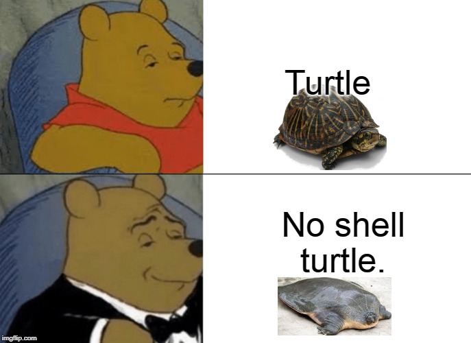 Tuxedo Winnie The Pooh | Turtle; No shell turtle. | image tagged in memes,tuxedo winnie the pooh | made w/ Imgflip meme maker