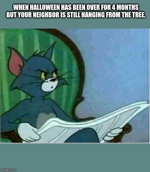 Tom Newspaper Original | WHEN HALLOWEEN HAS BEEN OVER FOR 4 MONTHS BUT YOUR NEIGHBOR IS STILL HANGING FROM THE TREE. | image tagged in tom newspaper original | made w/ Imgflip meme maker