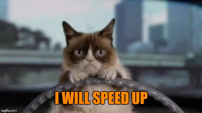 Grumpy cat driving | I WILL SPEED UP | image tagged in grumpy cat driving | made w/ Imgflip meme maker