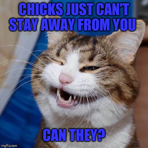 CHICKS JUST CAN'T STAY AWAY FROM YOU CAN THEY? | made w/ Imgflip meme maker