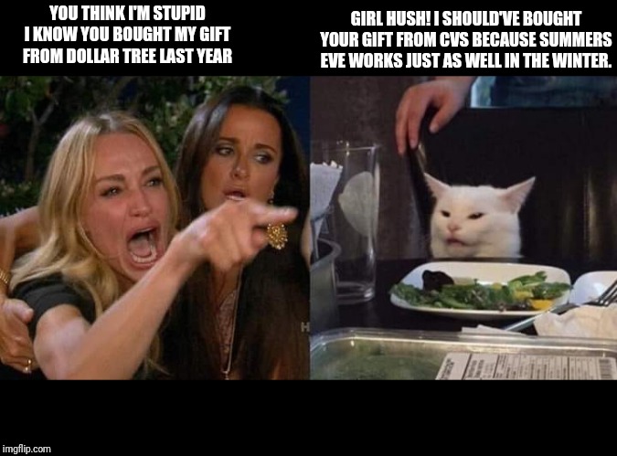 Crying lady and cat | YOU THINK I'M STUPID I KNOW YOU BOUGHT MY GIFT FROM DOLLAR TREE LAST YEAR; GIRL HUSH! I SHOULD'VE BOUGHT YOUR GIFT FROM CVS BECAUSE SUMMERS EVE WORKS JUST AS WELL IN THE WINTER. | image tagged in crying lady and cat | made w/ Imgflip meme maker
