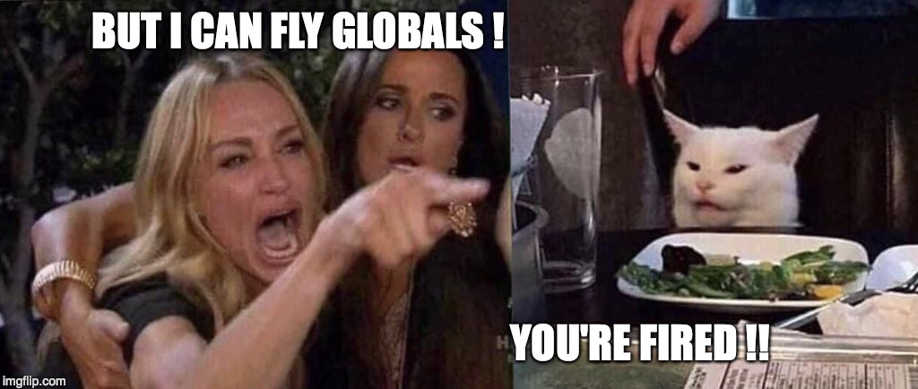 woman yelling at cat | BUT I CAN FLY GLOBALS ! YOU'RE FIRED !! | image tagged in woman yelling at cat | made w/ Imgflip meme maker