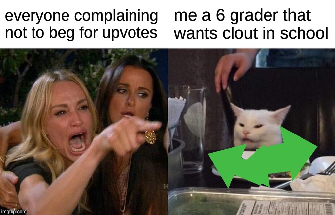 Woman Yelling At Cat | everyone complaining not to beg for upvotes; me a 6 grader that wants clout in school | image tagged in memes,woman yelling at cat | made w/ Imgflip meme maker