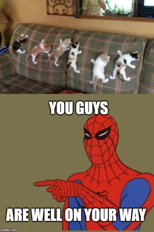 Spider-kittens | YOU GUYS; ARE WELL ON YOUR WAY | image tagged in kittens 1,spiderman,memes,cats | made w/ Imgflip meme maker