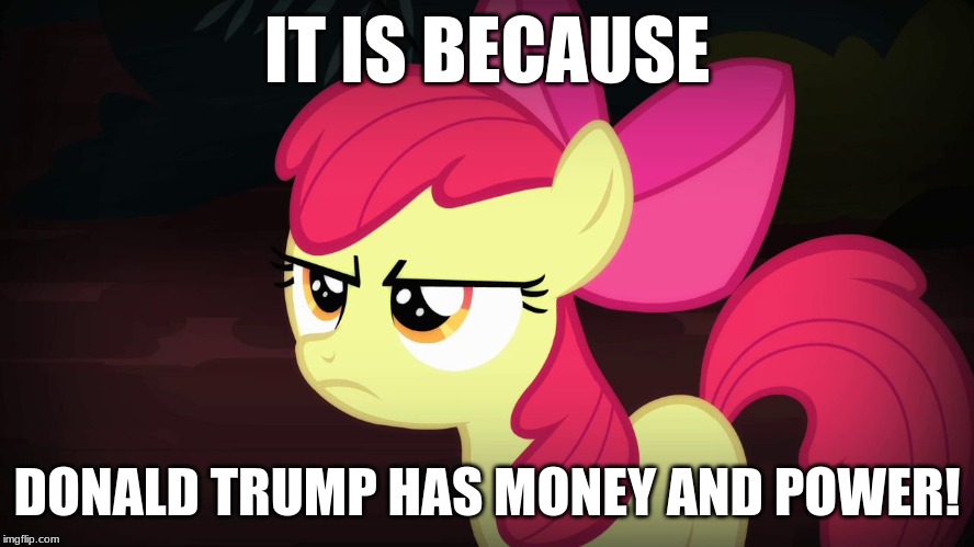 Angry Applebloom | IT IS BECAUSE DONALD TRUMP HAS MONEY AND POWER! | image tagged in angry applebloom | made w/ Imgflip meme maker