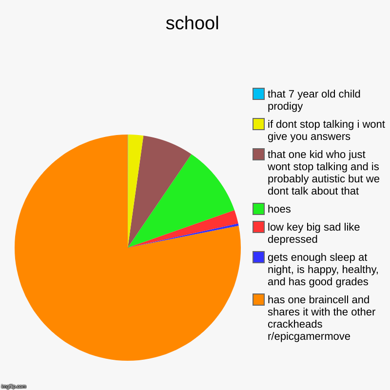 school | has one braincell and shares it with the other crackheads r/epicgamermove, gets enough sleep at night, is happy, healthy, and has g | image tagged in charts,pie charts | made w/ Imgflip chart maker