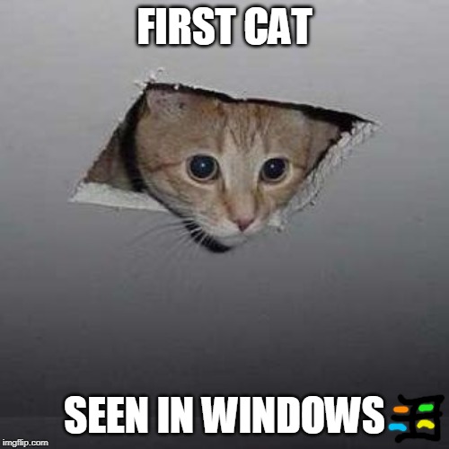 25 meowgahertz processor | FIRST CAT; SEEN IN WINDOWS | image tagged in memes,ceiling cat,funny | made w/ Imgflip meme maker
