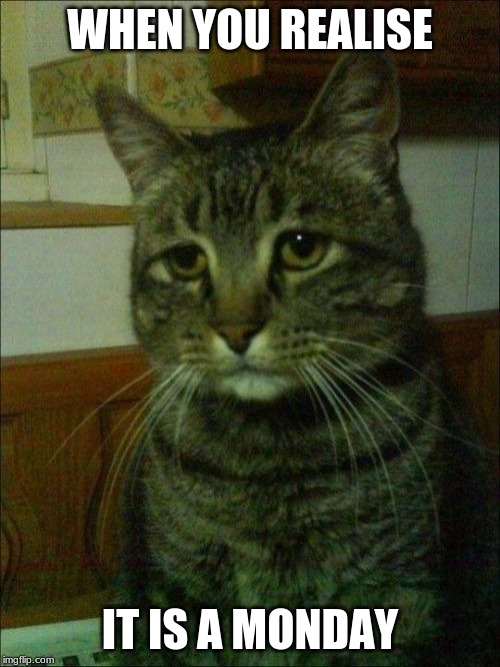 Depressed Cat | WHEN YOU REALISE; IT IS A MONDAY | image tagged in memes,depressed cat | made w/ Imgflip meme maker