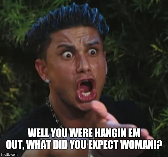 DJ Pauly D Meme | WELL YOU WERE HANGIN EM OUT, WHAT DID YOU EXPECT WOMAN!? | image tagged in memes,dj pauly d | made w/ Imgflip meme maker