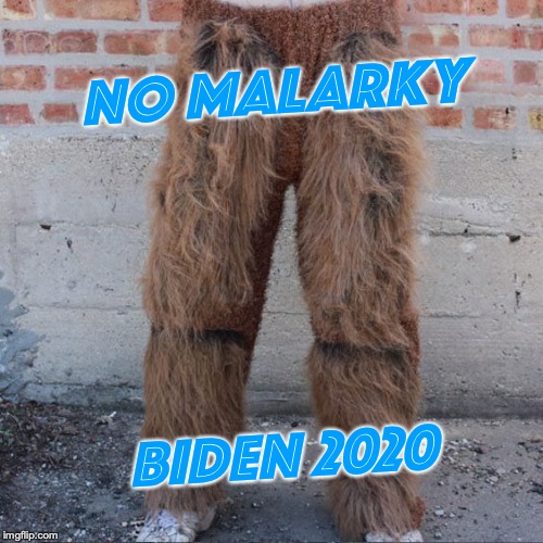 no shedding in the Whitehouse | NO MALARKY; BIDEN 2020 | image tagged in election 2020,joe biden,hairy legs | made w/ Imgflip meme maker