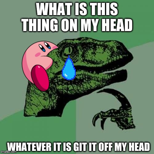 why you do this kirby | WHAT IS THIS THING ON MY HEAD; WHATEVER IT IS GIT IT OFF MY HEAD | image tagged in memes,philosoraptor,kirby | made w/ Imgflip meme maker
