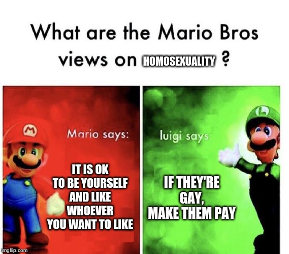 Mario Bros Views | HOMOSEXUALITY; IT IS OK TO BE YOURSELF AND LIKE WHOEVER YOU WANT TO LIKE; IF THEY'RE GAY, MAKE THEM PAY | image tagged in mario bros views | made w/ Imgflip meme maker