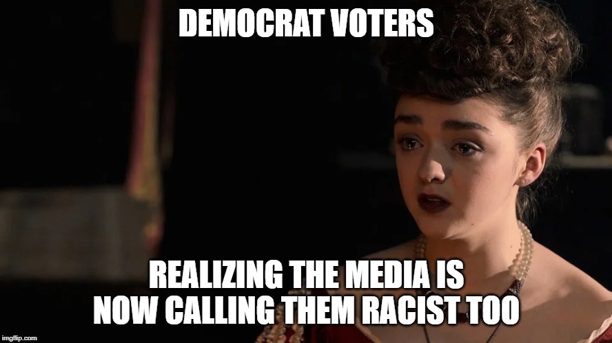 Why msnbc? Why? I thought we were friends... | DEMOCRAT VOTERS; REALIZING THE MEDIA IS NOW CALLING THEM RACIST TOO | image tagged in democrats,racist,media | made w/ Imgflip meme maker